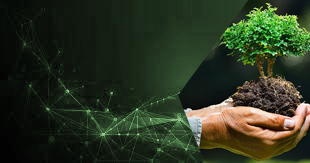 ISO 14001:2015